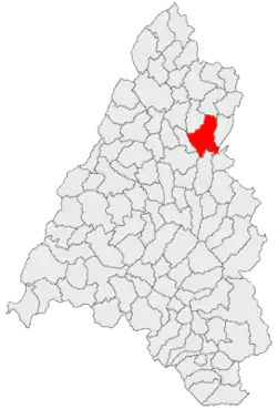 Location in Bihor County