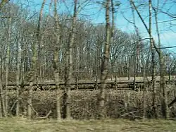 Portion of the Potomac Heritage Trail as it passes through marshland near Belle Haven