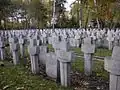 World War II graves