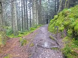 Connection to the top of the Black Gates Trail.