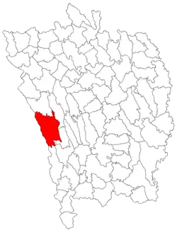 Location in Vaslui County