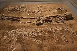 Puyang Dragon Burial, with the earliest depiction of a Dragon in China, Yangshao culture