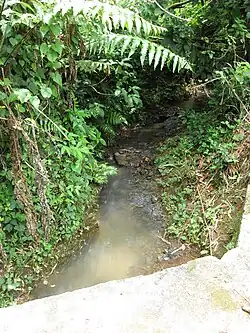 Sector Santo Domingo