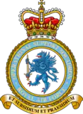 Heraldic badge of the Operational Support Squadron RAF.
