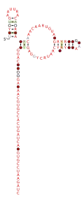 RAGATH-20 Secondary structure taken from the Rfam database. Family RF03048