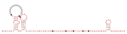 RAGATH-33 Secondary structure taken from the Rfam database. Family RF03102