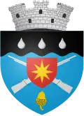 Coat of arms of Darabani