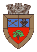 Coat of arms of Videle