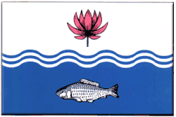 Flag of Volodarsky District, Astrakhan Oblast