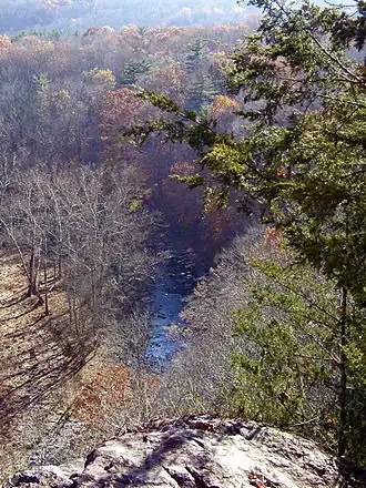View from a high rock of water in trees, some bare and some with autumn leaves