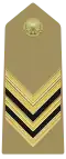 Sergente Maggiore (Italian Army)[27]