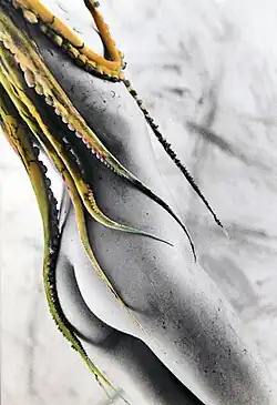 Re-reading of The Dream of the Fisherman's Wife 1988, by Sergio Valle Duarte