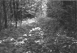 Robinson Road in 1974.