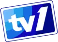 TV1's fourth logo (2004–2006).