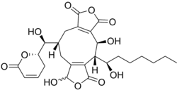 Rubratoxin A is one of many natural products containing a maleic anhydride-like subunit.