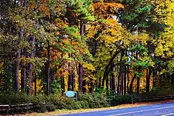 Ruby M Mize Azalea Garden