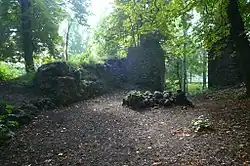 Castle ruins