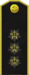 Admiral Turkmen Naval Forces[58]