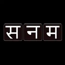 Sanam's Hindi logo