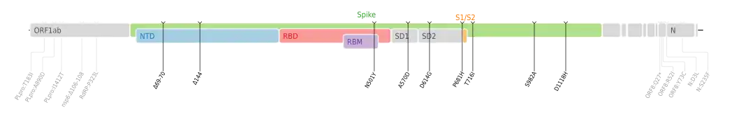 Amino acid mutations of SARS-CoV-2 Alpha variant plotted on a genome map of SARS-CoV-2 with a focus on Spike.[21]