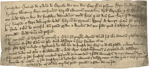 Colour photograph of a thirteenth-century petition to the King from the villagers