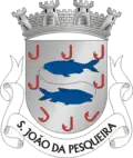 Coat of arms of São João da Pesqueira