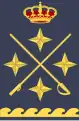 General del aire (Spanish Air and Space Force)