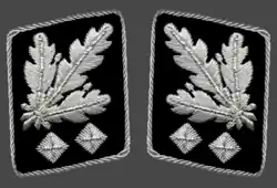 Gorget patches 1942–1945 (Allgemeine SS and Waffen-SS)