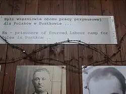 Photographs of prisoners of SS-Truppenübungsplatz Heidelager