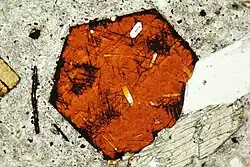 Basal section of biotite, with needle-like rutile inclusions, in thin section under plane-polarized light.