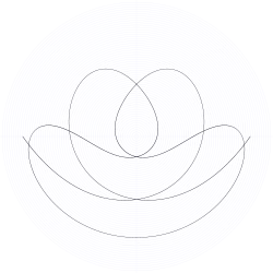 An orbit of the swinging Atwood's machine for , , and zero initial velocity.