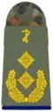 General-stabsarzt (dental medicine)