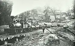 Sequoia Railroad 1891. C.C. Curtis. USA, 1891.: 92