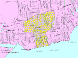 U.S. Census map