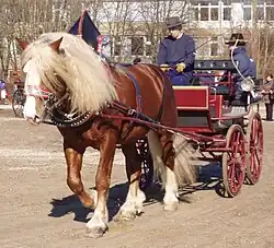 horse pulling a carriage