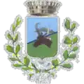 Coat of arms of Scopa