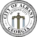 Official seal of Albany