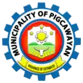 Official seal of Pigcawayan