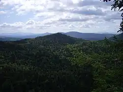 A view of Second College Grant from the Diamond Peaks Trail