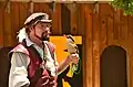 Falconry demonstration