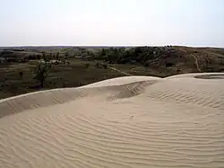 Great Sand Hills
