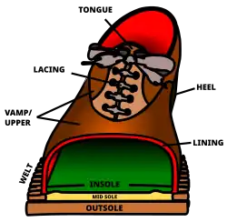 Cutaway view of a typical shoe.