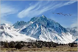 Baldwin behind left of Mount Morrison seen from the north
