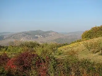 Landscape near Siliștea