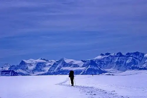 Skiing the Columbia Icefield