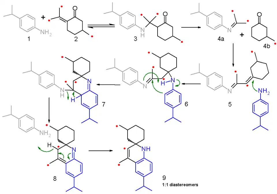 Scheme 2. Doebner-Miller reaction mechanism