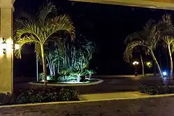 Palm trees in Grand Palladium