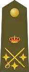Teniente general[47] (Spanish Army)