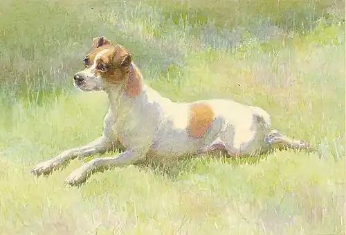 Spot, Queen Victoria's Short-haired terrier, 1895