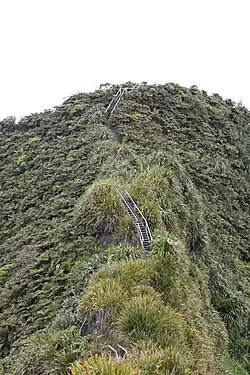 Stairs to Diana's Peak